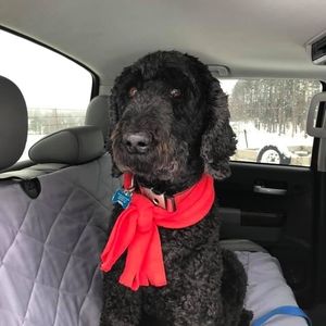 Meet your Posher, Steve